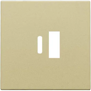 Niko 221-68002 centraalplaat voor dubbele smart USB-A en USB-C lader gold coated