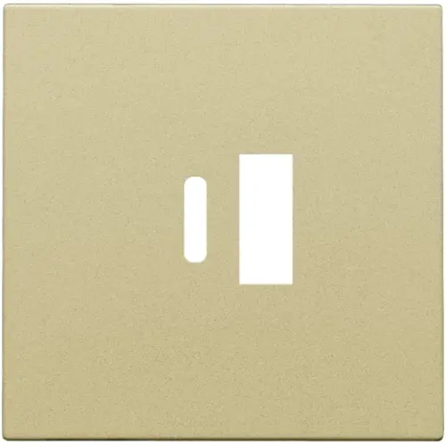 Niko 221-68002 centraalplaat voor dubbele smart USB-A en USB-C lader gold coated