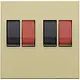 Niko 221-69701 centraalplaat 2-voudig voor mono luidspreker aansluitdoos gold coated