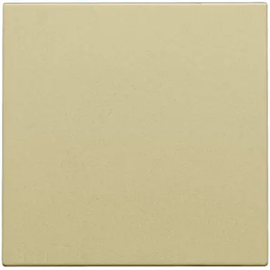 Niko 221-76001 blindplaat met kabeluitvoer zonder draagring gold coated