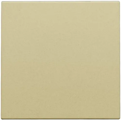 Niko 221-76001 blindplaat met kabeluitvoer zonder draagring gold coated