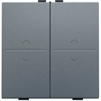 Niko 220-00010 toets 2x rf / bus o/n