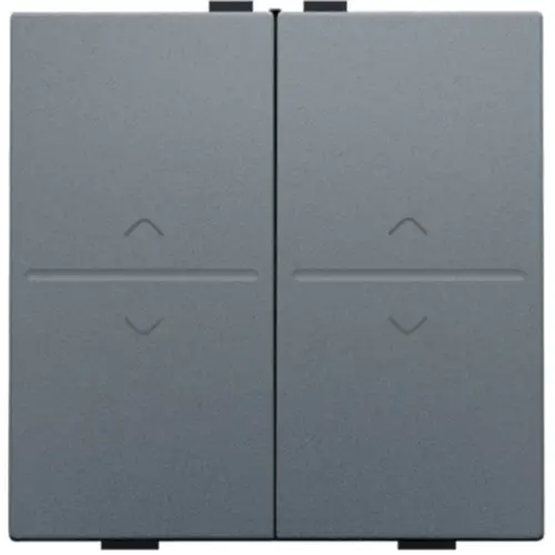 Niko 220-00010 toets 2x rf / bus o/n