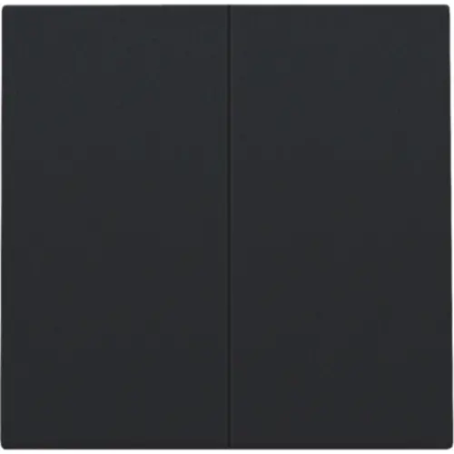 Niko 161-31004 afwerkingsset voor dubbele elektronische schakelaar black coated
