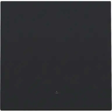 Niko 161-32002 afwerkingsset met lens voor elektronische schakelaar/dimmer black coated