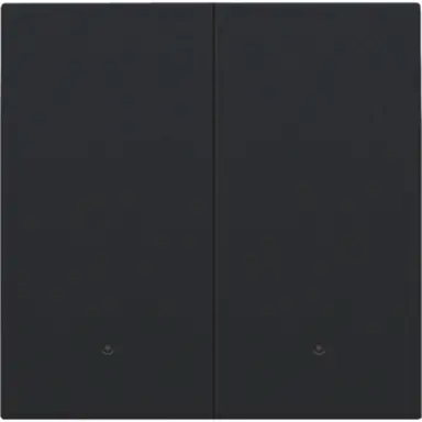 Niko 161-32004 afwerkingsset met lens voor dubbele elektronische schakelaar black coated