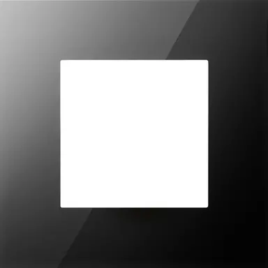 Niko 242-76100 afdekraam 1-voudig Pure liquid black