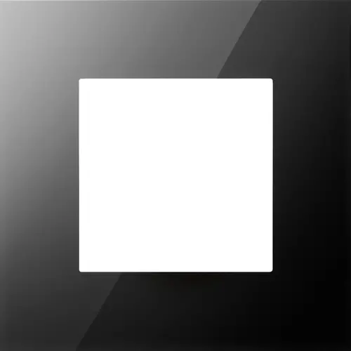 Niko 242-76100 afdekraam 1-voudig Pure liquid black