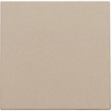 Niko 157-76001 blindplaat met kabeluitvoer zonder draagring champagne coated