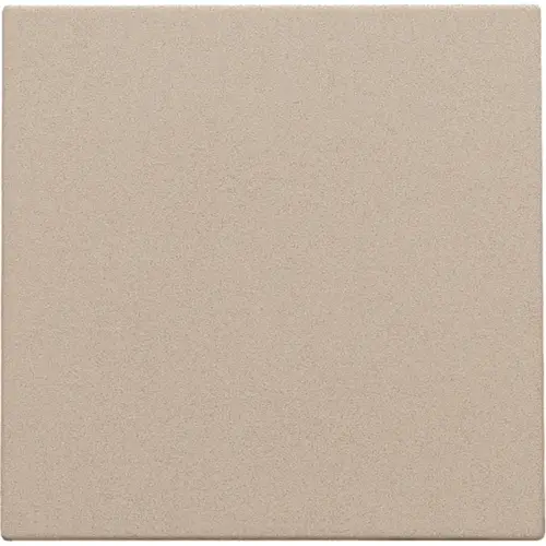 Niko 157-76001 blindplaat met kabeluitvoer zonder draagring champagne coated