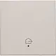 Niko 102-32902 afwerkingsset voor geconnecteerde enkele schakelaar met lens en symbool woning verlaten light grey