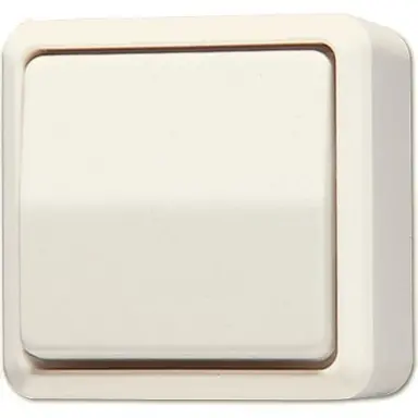 JUNG 602 A 2-polige schakelaar opbouw 10A creme