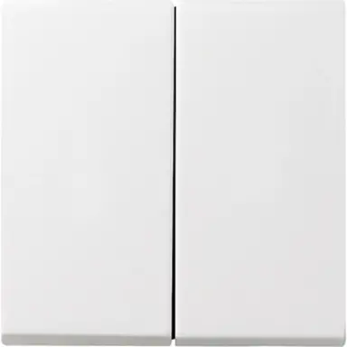 Gira 029503 schakelwip 2-voudig Systeem 55 wit glans oud model