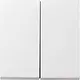 Gira 029527 schakelwip 2-voudig Systeem 55 wit mat oud model
