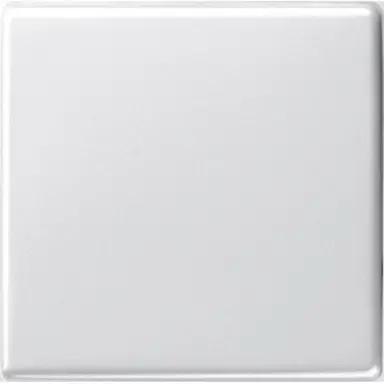 Gira 029603 schakelwip Systeem 55 wit glans oud model