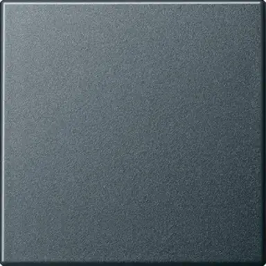 Gira 029628 schakelwip Systeem 55 antraciet mat oud model