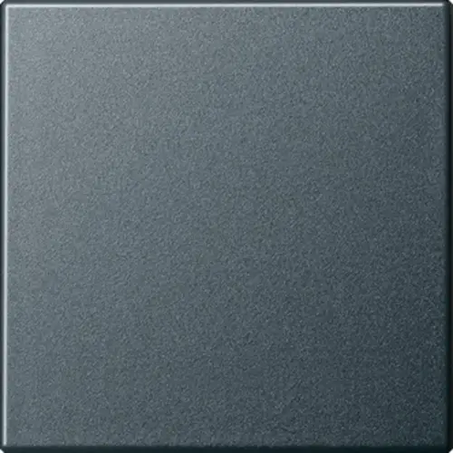 Gira 029628 schakelwip Systeem 55 antraciet mat oud model