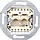 Gira 019000 RJ45 telefoon wandcontactdoos CAT3 2-voudig