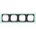 Gira 021485 afdekraam 4-voudig Event Opaque mint mat/antraciet mat