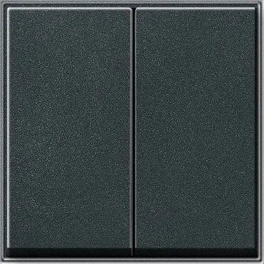 Gira 029567 schakelwip 2-voudig TX44 antraciet oud model