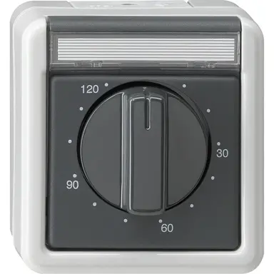 Gira 032130 tijdschakelaar 2-polig 120 minuten tekstkader opbouw IP44