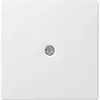 Gira 027403 afdekking voor snoeraftakking Systeem 55 wit glans