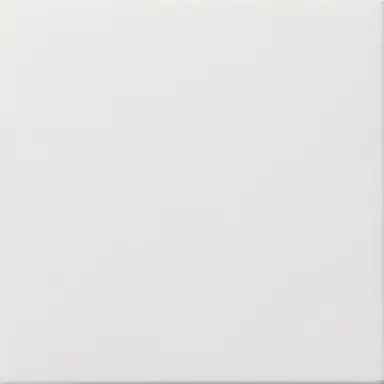 Gira 0268112 blinddeksel incl. draagframe F100 wit glans