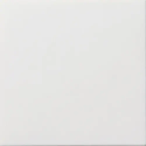 Gira 0268112 blinddeksel incl. draagframe F100 wit glans