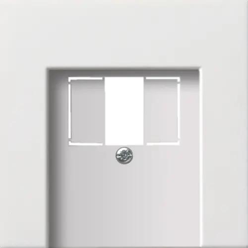 Gira 0276112 centraalplaat USB F100 wit glans