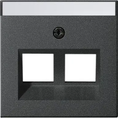 Gira 264028 inzpl 2xmj 30gr tekstkader Systeem 55