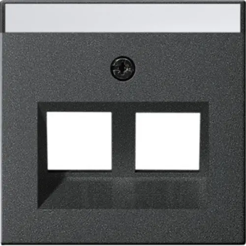 Gira 264028 inzpl 2xmj 30gr tekstkader Systeem 55