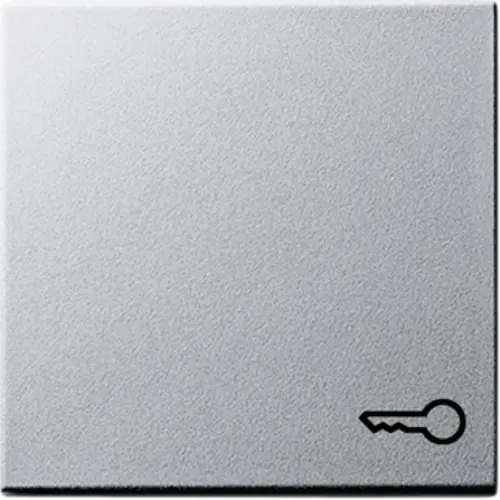 Gira 028726 schakelwip symbool deur Systeem 55 aluminium mat