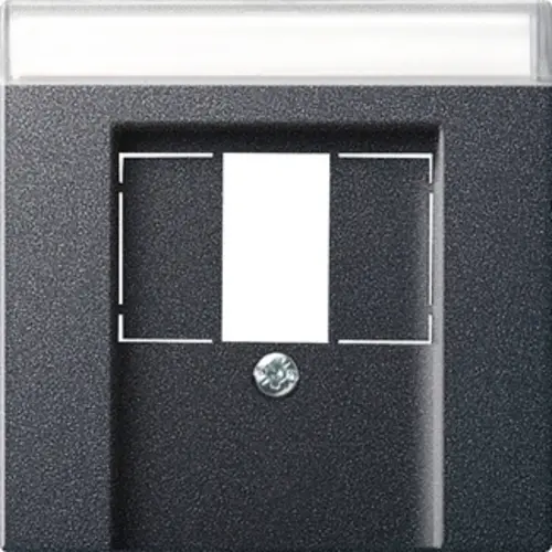 Gira 087628 centraalplaat USB met tekstkader Systeem 55 antraciet mat