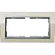 Gira 1002776 afdekraam 2-voudig Event Clear zand glans/aluminium mat