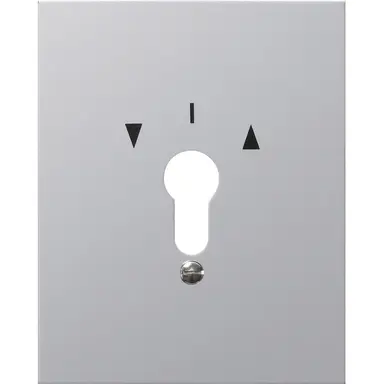 Gira 009730 afdekplaat pylsymbool wd