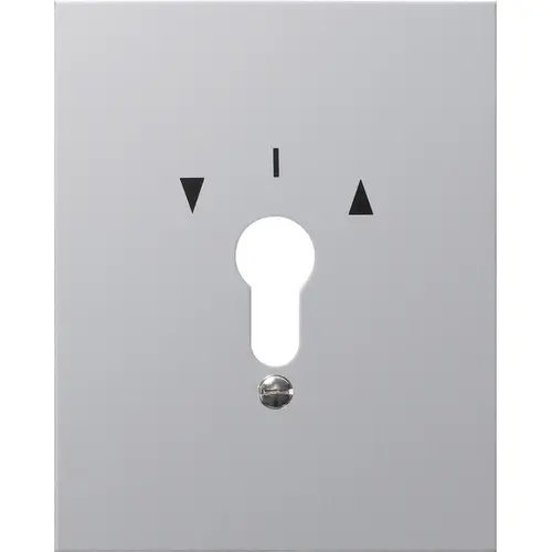Gira 009730 afdekplaat pylsymbool wd