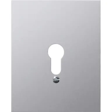 Gira 009830 afdekplaat neutraal wd