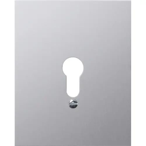 Gira 009830 afdekplaat neutraal wd