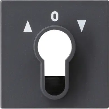 Gira 066428 inzpl jaloezie cilind antraciet Systeem 55