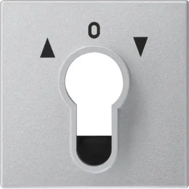 Gira 066426 inzpl jaloezie cilind Systeem 55