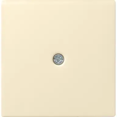 Gira 027401 afdekking voor snoeraftakking Systeem 55 creme glans