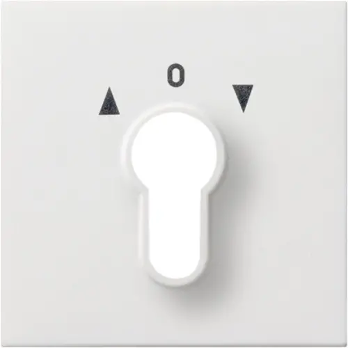 Gira 0664112 inzpl jaloezie cilind F100