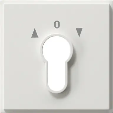 Gira 066466 afdekking voor sleutelschakelaar en -drukcontact TX44 wit
