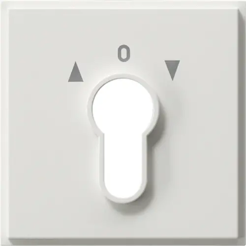 Gira 066466 afdekking voor sleutelschakelaar en sleuteldrukcontact TX44 wit