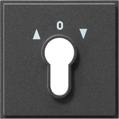 Gira 066467 afdekking voor sleutelschakelaar en -drukcontact Systeem TX44 antraciet