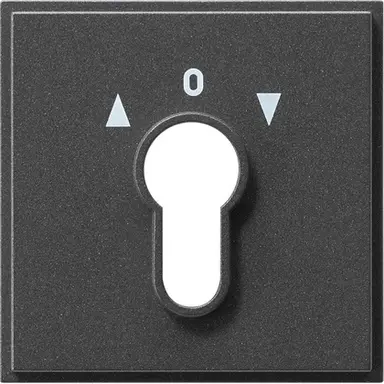 Gira 066467 afdekking voor sleutelschakelaar en sleuteldrukcontact TX44 antraciet