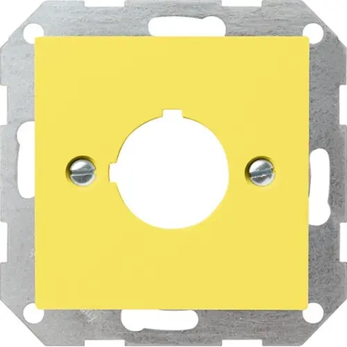 Gira 027102 inzpl 22,5mm gat gg Systeem 55