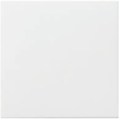 Gira 022527 afdekplaat verticaal buskopp Systeem 55