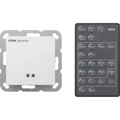 Gira 236603 beweg sensor