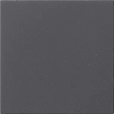 Gira 536028 dimmerknop Systeem 3000 tastdimmer Systeem 55 antraciet mat